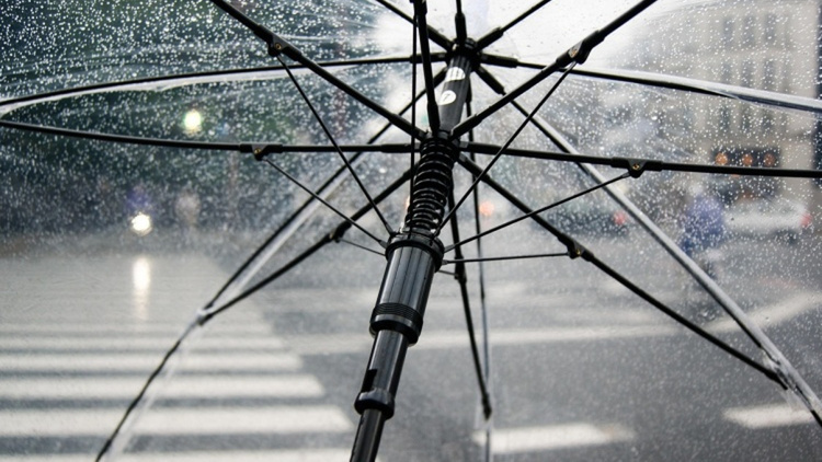 Parasol