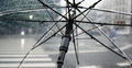 Parasol