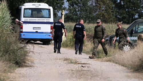 Służby zabiezpieczają teren pola kukurydzy w miejscowości Osiny, na które spadł niezidentyfikowany obiekt