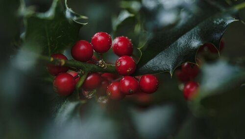 Oktawa Bożego Narodzenia - co charakteryzuje kolejne dni?