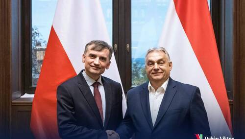 Były minister sprawiedliwości Zbigniew Ziobro z premierem Węgier Viktorem Orbanem