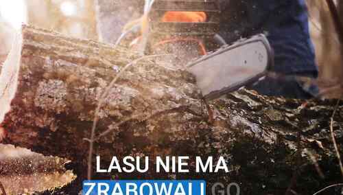 Wycinka drzew - Fragment spotu KO