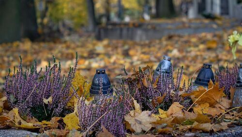 Cmentarz, zdjęcie poglądowe