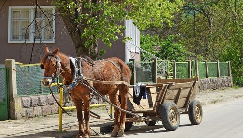 Prawy Sierpowy: Miłosierni jak Tusk przyparty do muru