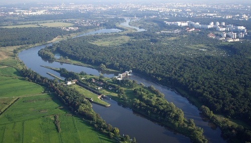 Odra