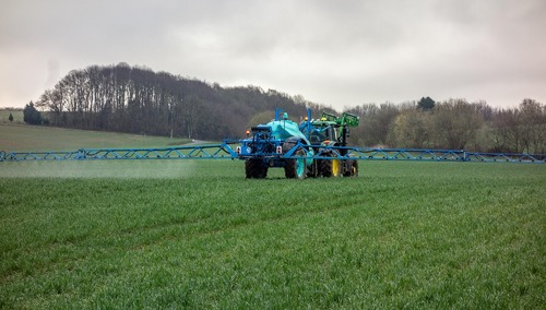 Pole uprawne - zdjęcie poglądowe