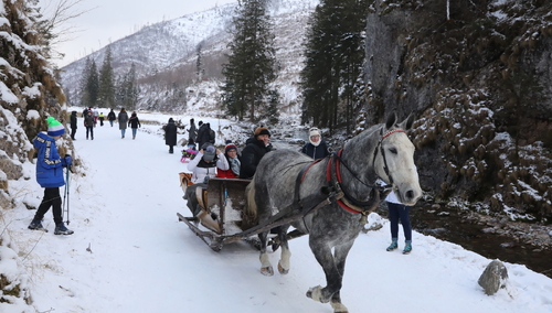 Rząd przeznaczy ponad 700 mln zł na wsparcie dla gmin na terenach górskich