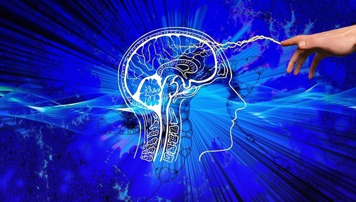 mózg/grafika poglądowa