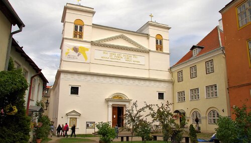 Rzymsko-katolicka katedra świętych Piotra i Pawła w Tallinie