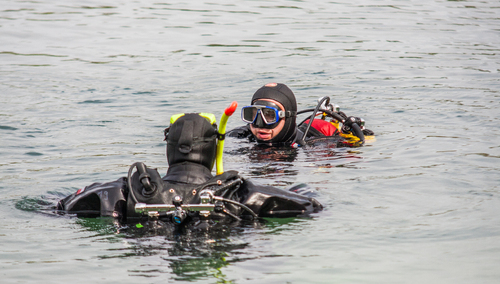 fot. ilustracyjne / nurkowie