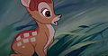 Bambi