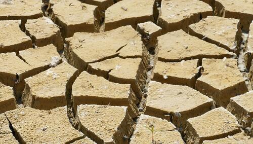 Susza w Polsce. Gdzie sytuacja jest najtrudniejsza? [MAPA]