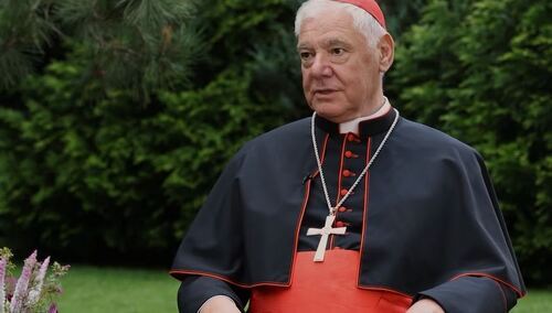 Kardynał Gerhard Ludwig Müller