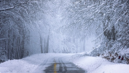 Śnieżyca / zdjęcie poglądowe