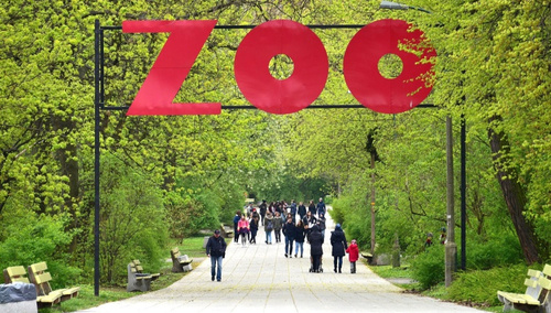  Więcej szczegółów Aleja Kazimierza Lisieckiego „Dziadka” prowadząca do głównego wejścia do Ogrodu Zoologicznego