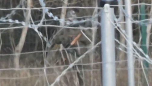 MON: „Białoruscy żołnierze specjalnie dają się nagrywać z karabinami snajperskimi i granatnikami” [VIDEO]