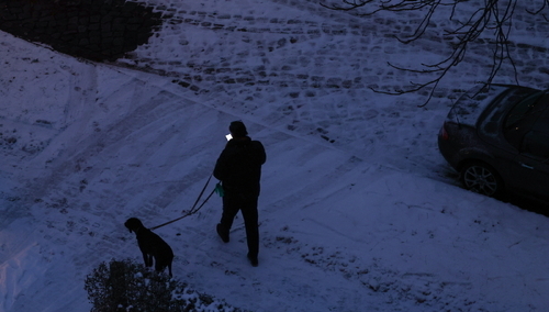 Pieszy spaceruje po dzielnicy Lichterfelde w zachodnim Berlinie, Niemcy