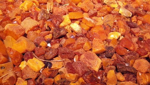 Ile bursztynu wydobyto w wyniku przekopu Mierzei Wiślanej? Ministerstwo podało liczby