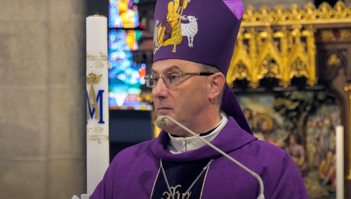 abp Wojciech Polak