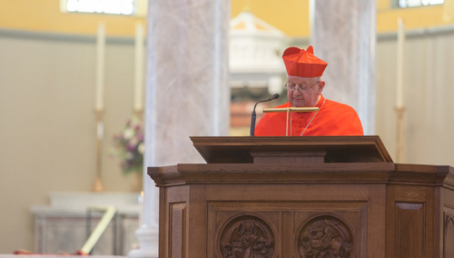 kard. Stanisław Dziwisz