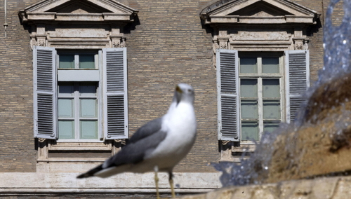 Papież w szpitalu, zamknięte okro w czasie modlitwy Anioł Pański