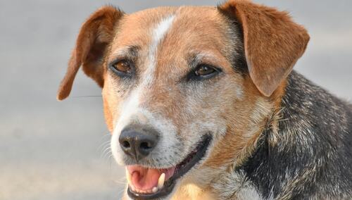 [Felieton "TS"] Tomasz P. Terlikowski: Kolejna niepotrzebna wojenka