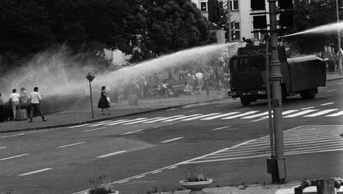 Z archiwum Tomasz Gutrego