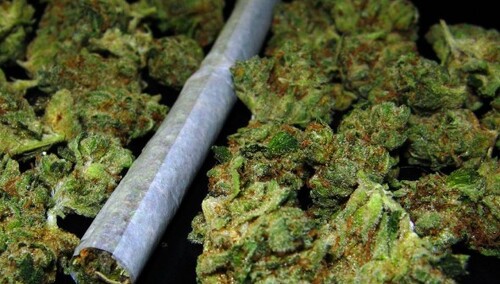 zdjęcie ilustracyjne