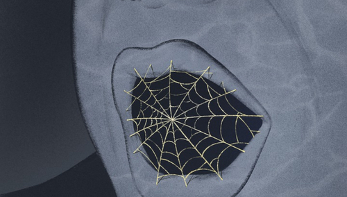 Cenzura. Ilustracja poglądowa