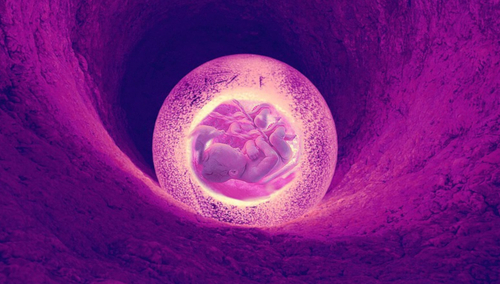 Dziecko nienarodzone. Ilustracja poglądowa