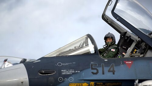 Pilot sił powietrznych Japonii - zdjęcie poglądowe 