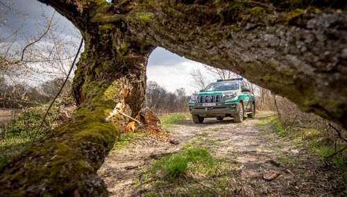 Niespokojnie na granicy z Białorusią. Jest komunikat Straży Granicznej