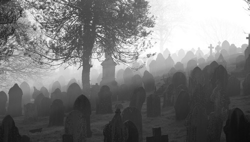 cmentarz, zdjęcie poglądowe