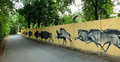 Mural autorstwa Jerzego Wołoszynowicza na ogrodzeniu zoo