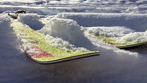 zdjęcie ilustracyjne