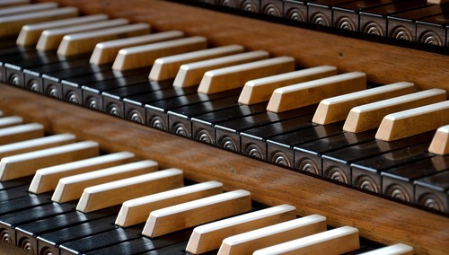 Organy/zdjęcie poglądowe