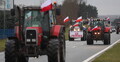 protest rolników