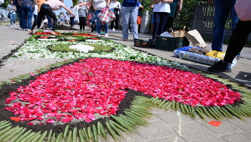 tworzenie dywanu kwiatowego w Spycimierzu