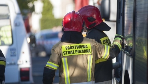 zdjęcie ilustracyjne