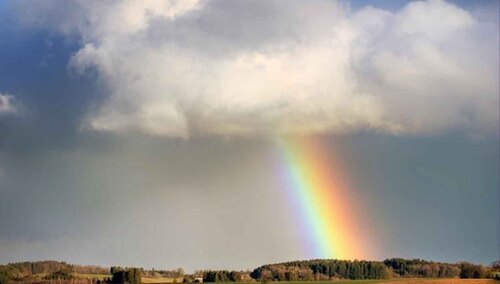 Zdjęcie ilustracyjne