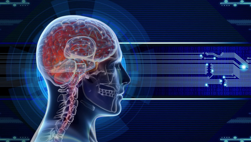 Człowiek. Ilustracja poglądowa