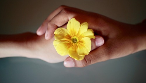 uścisk dłoni/zdjęcie poglądowe