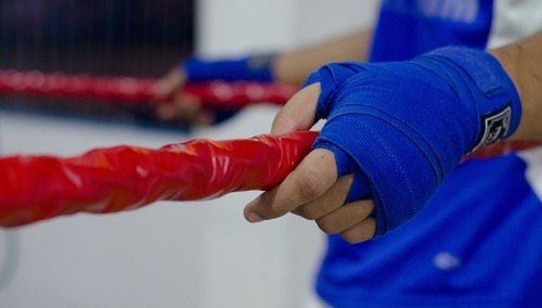 zdjęcie ilustracyjne