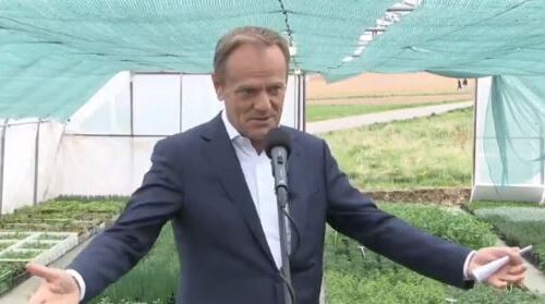 Przewodniczący PO Donald Tusk