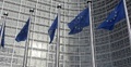 Komisja Europejska / flagi