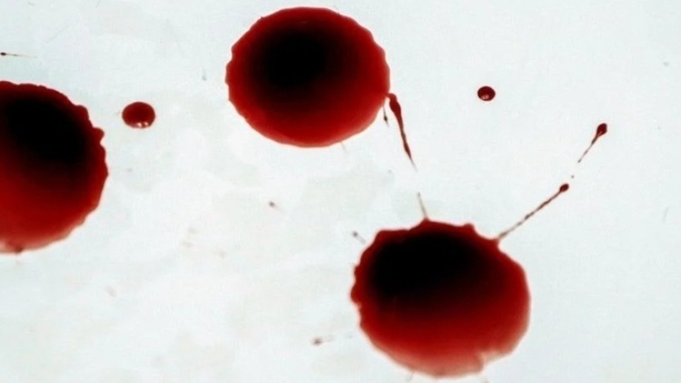 Horror w Niemczech. "Położył odciętą głowę przed wejściem do sądu i spokojnie usiadł obok"