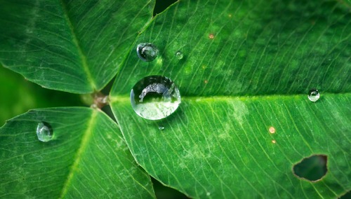[Tylko u nas] Aleksandra Jakubiak OV: Rodzina Trójjedynego