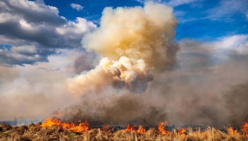 Gaszenie pożaru suchych trzcinowisk w Biebrzańskim Parku Narodowym