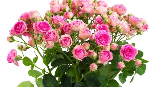 Piotr Duda w Dniu Kobiet: Bez Was "Solidarność" nie byłaby tak wspaniała