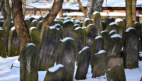 Cmentarz żydowski w Szydłowcu